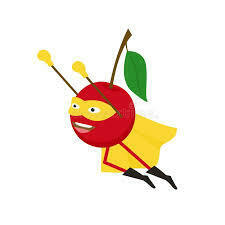 Fundraising Page: Michelle Dahl